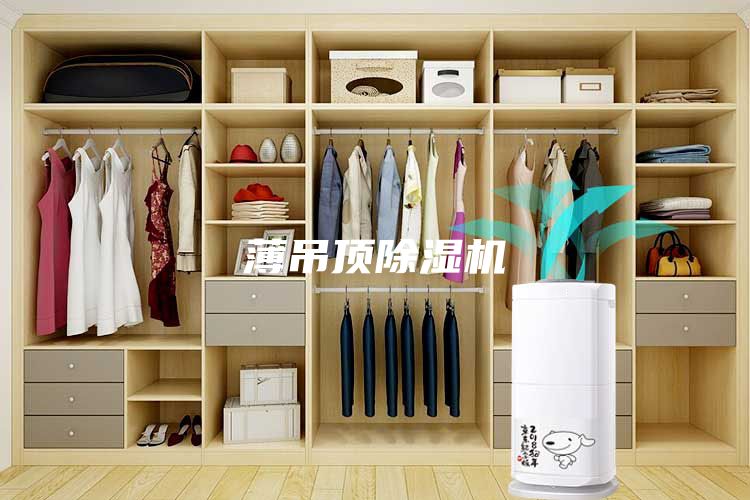 薄吊顶除湿机