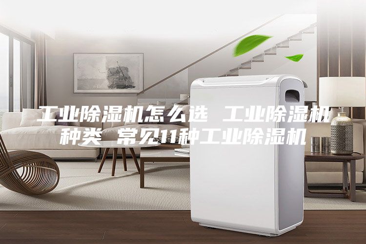 工业除湿机怎么选 工业除湿机种类 常见11种工业除湿机