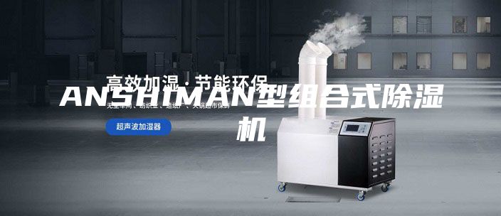 ANSHIMAN型组合式除湿机