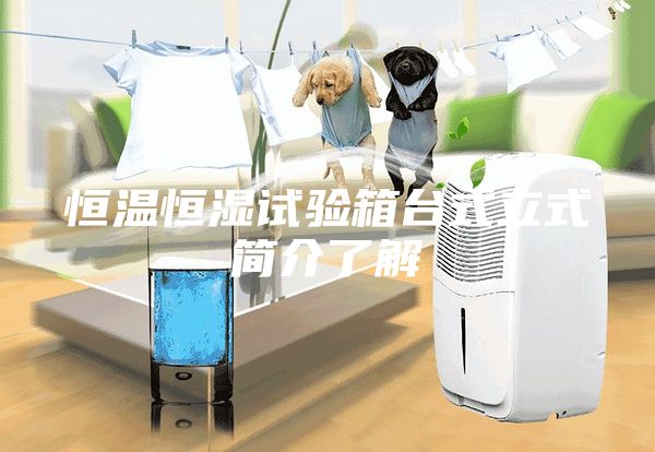 恒温恒湿试验箱台式立式简介了解