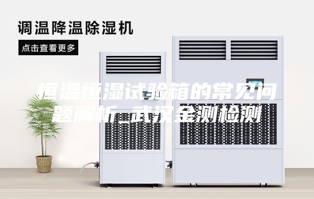 恒温恒湿试验箱的常见问题解析_武汉金测检测