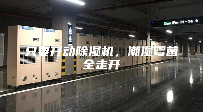 只要开动除湿机，潮湿霉菌全走开