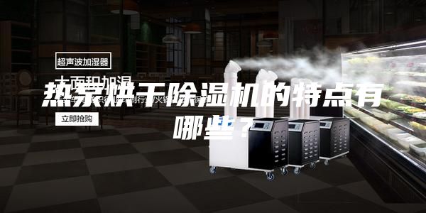 热泵烘干除湿机的特点有哪些？
