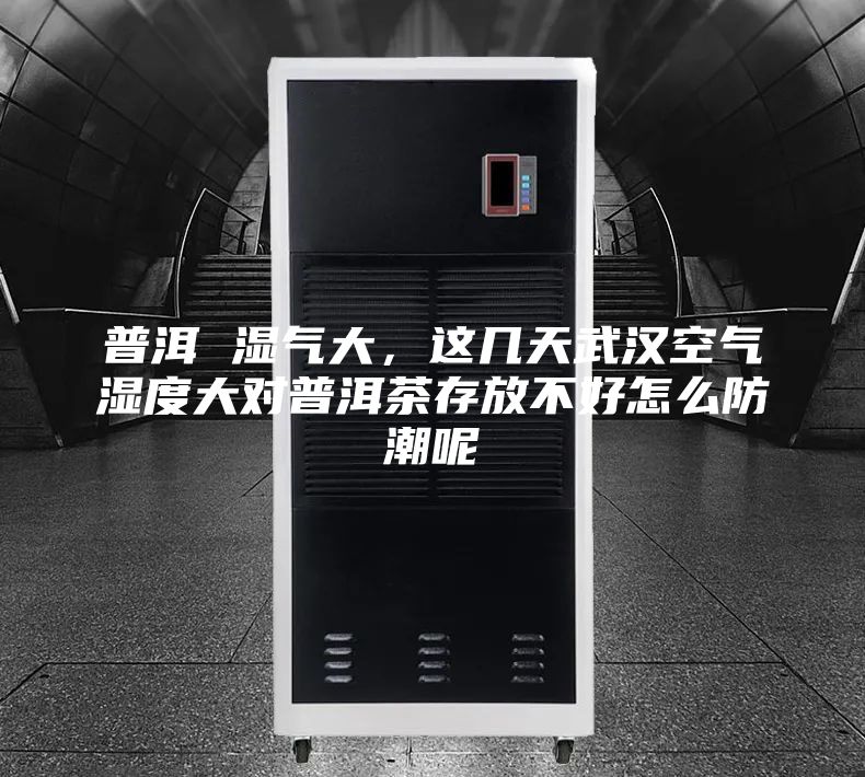 普洱 湿气大，这几天武汉空气湿度大对普洱茶存放不好怎么防潮呢