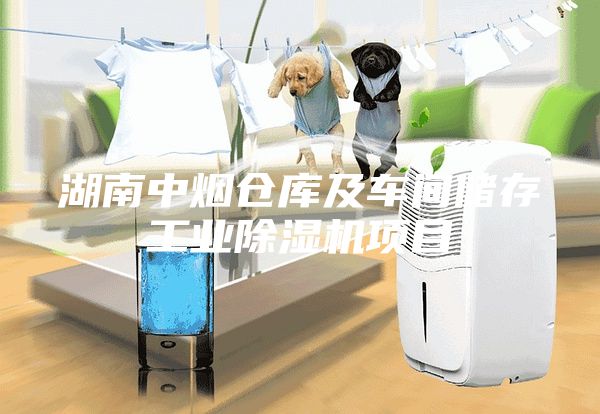 湖南中烟仓库及车间储存工业除湿机项目