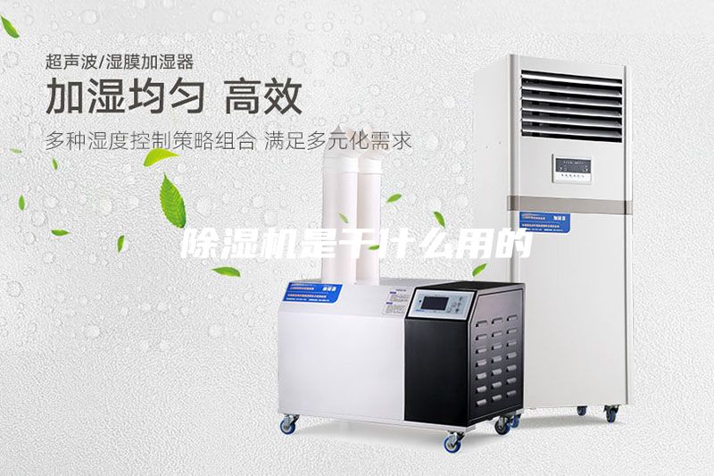 除湿机是干什么用的