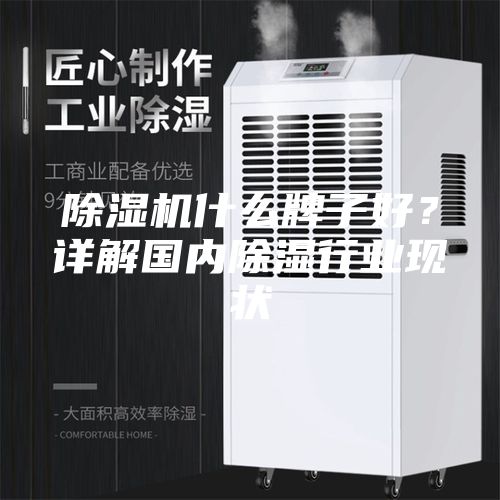 除湿机什么牌子好？详解国内除湿行业现状