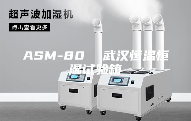 ASM-80  武汉恒温恒湿试验箱