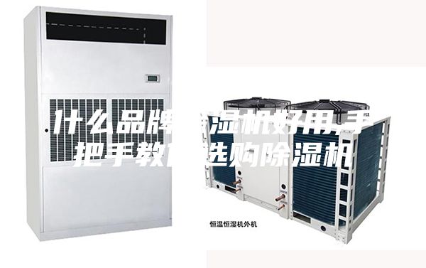 什么品牌除湿机好用,手把手教你选购除湿机