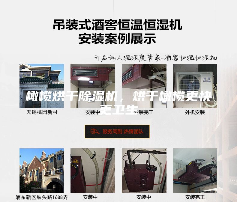 橄榄烘干除湿机，烘干橄榄更快更卫生