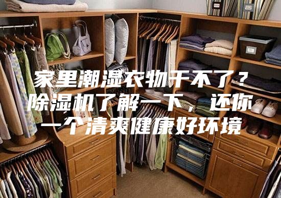 家里潮湿衣物干不了？除湿机了解一下，还你一个清爽健康好环境
