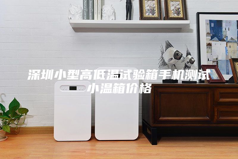 深圳小型高低温试验箱手机测试小温箱价格