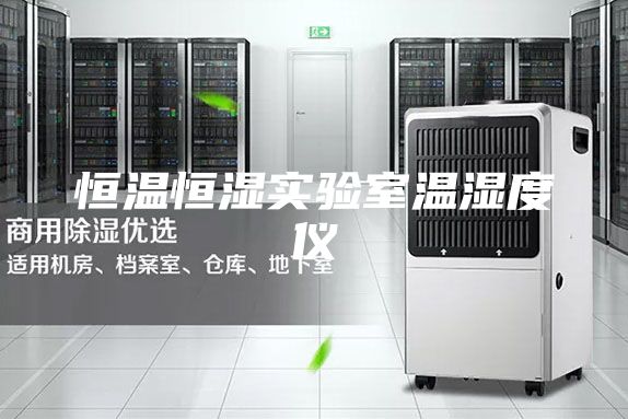 恒温恒湿实验室温湿度仪
