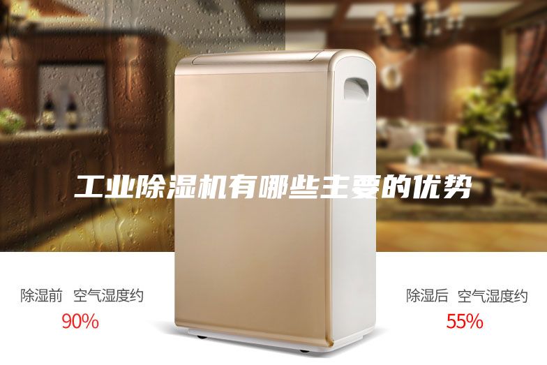 工业除湿机有哪些主要的优势
