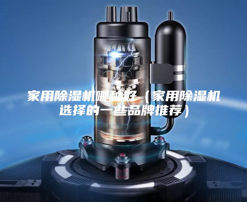 家用除湿机哪种好（家用除湿机选择的一些品牌推荐）