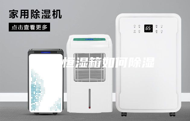 恒温恒湿箱如何除湿