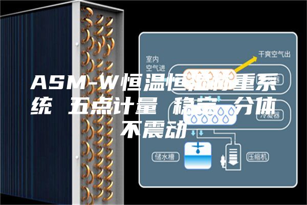 ASM-W恒温恒湿称重系统 五点计量 稳定 分体不震动