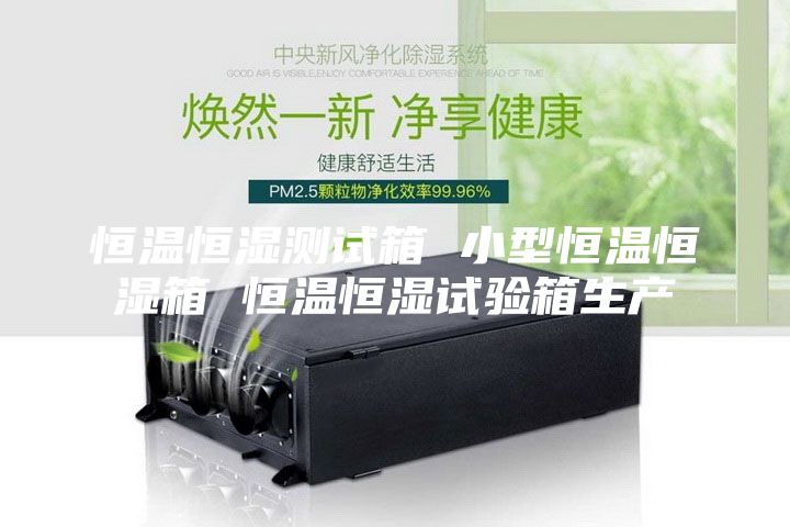 恒温恒湿测试箱 小型恒温恒湿箱 恒温恒湿试验箱生产