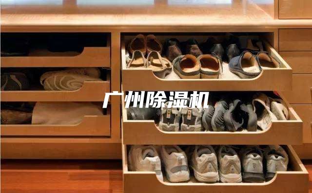 广州除湿机