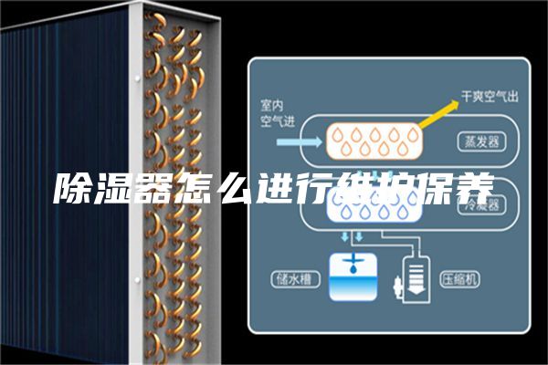 除湿器怎么进行维护保养