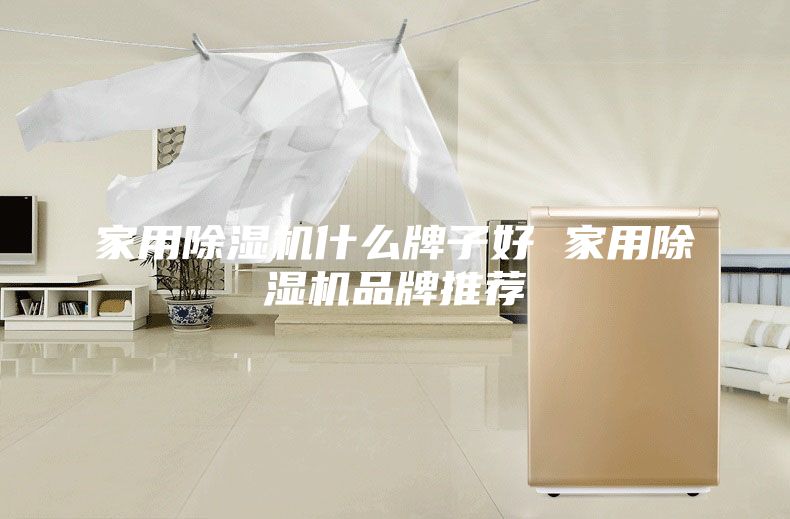 家用除湿机什么牌子好 家用除湿机品牌推荐