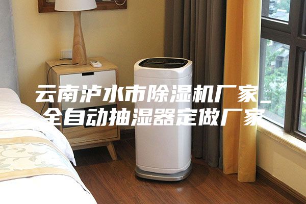 云南泸水市除湿机厂家_全自动抽湿器定做厂家
