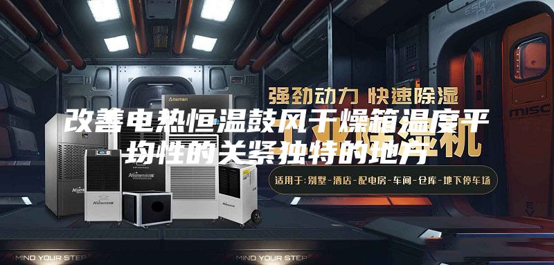 改善电热恒温鼓风干燥箱温度平均性的关紧独特的地方