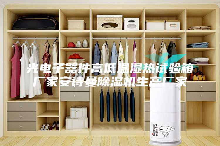 光电子器件高低温湿热试验箱厂家安诗曼除湿机生产厂家