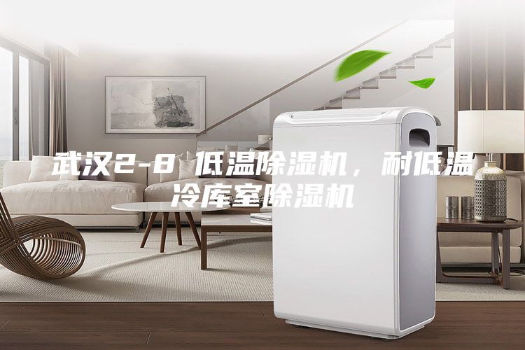 武汉2-8℃低温除湿机，耐低温冷库室除湿机