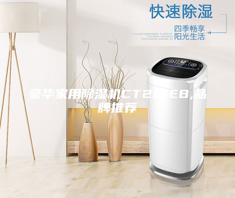 豪华家用除湿机CT201EB,品牌推荐