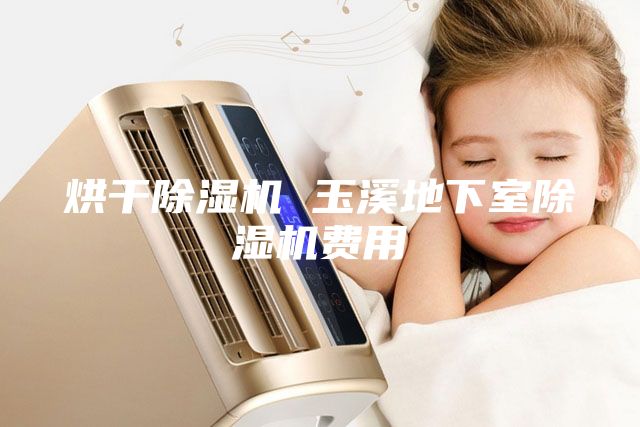 烘干除湿机 玉溪地下室除湿机费用