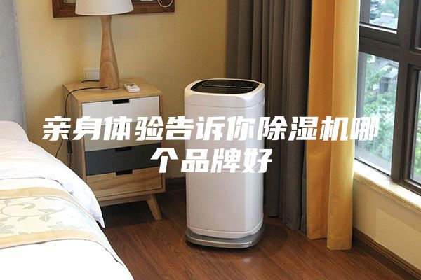 亲身体验告诉你除湿机哪个品牌好