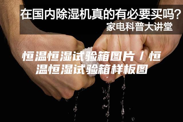 恒温恒湿试验箱图片／恒温恒湿试验箱样板图