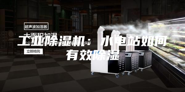 工业除湿机：水电站如何有效除湿