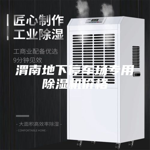 渭南地下停车场专用除湿机价格