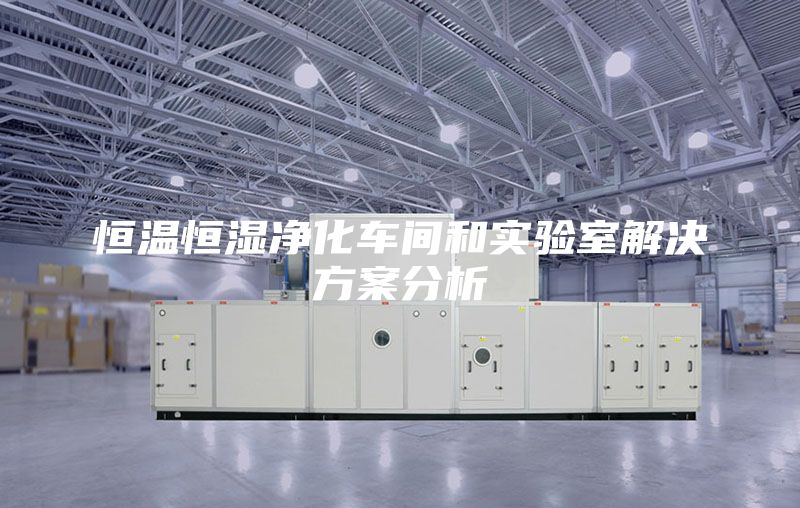 恒温恒湿净化车间和实验室解决方案分析