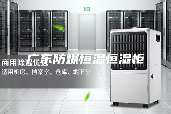 广东防爆恒温恒湿柜
