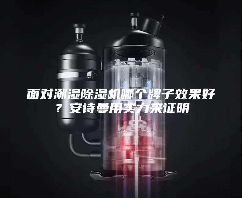 面对潮湿除湿机哪个牌子效果好？安诗曼用实力来证明
