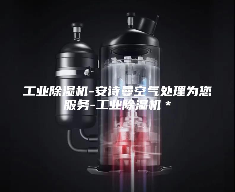 工业除湿机-安诗曼空气处理为您服务-工业除湿机＊
