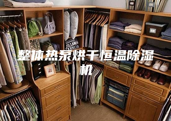 整体热泵烘干恒温除湿机