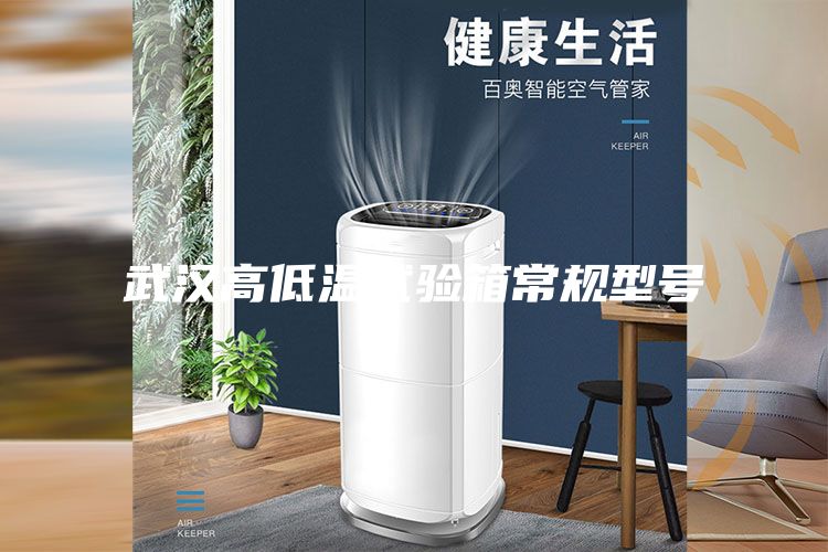 武汉高低温试验箱常规型号