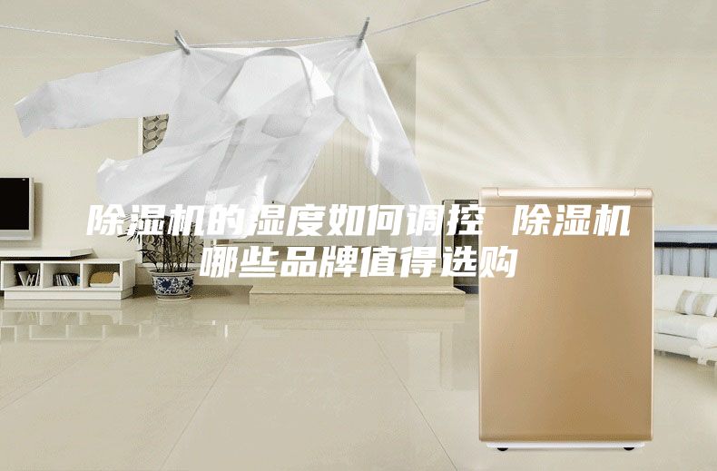 除湿机的湿度如何调控 除湿机哪些品牌值得选购