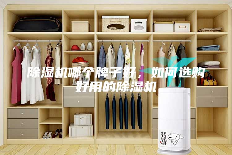 除湿机哪个牌子好，如何选购好用的除湿机