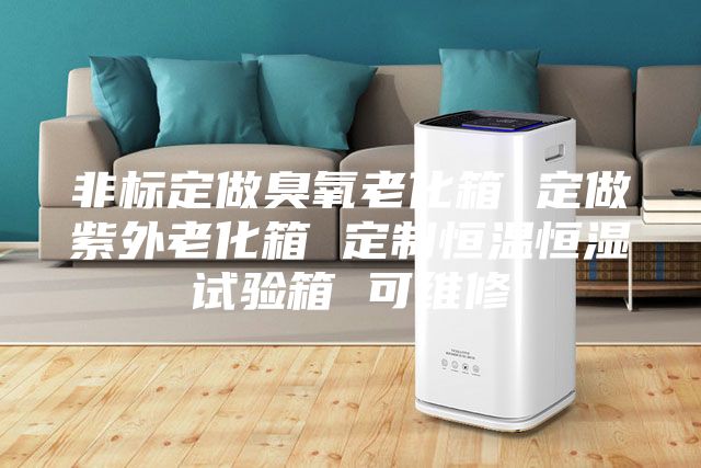 非标定做臭氧老化箱 定做紫外老化箱 定制恒温恒湿试验箱 可维修