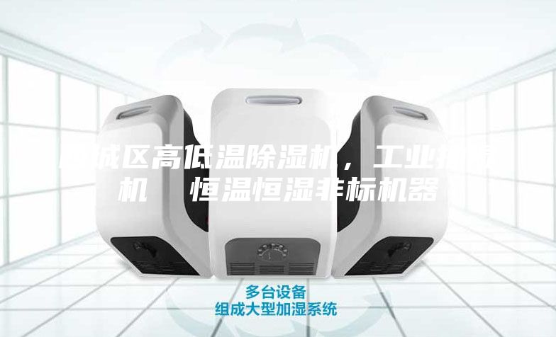 西城区高低温除湿机，工业抽湿机  恒温恒湿非标机器