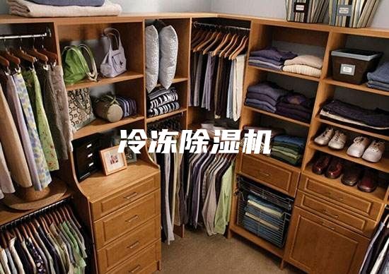 冷冻除湿机