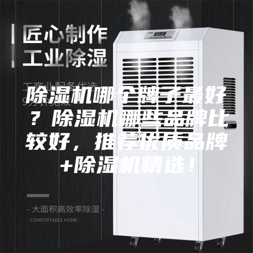 除湿机哪个牌子最好？除湿机哪些品牌比较好，推荐优质品牌+除湿机精选！