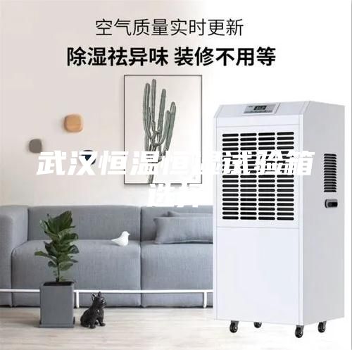 武汉恒温恒湿试验箱选择