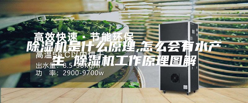 除湿机是什么原理,怎么会有水产生 除湿机工作原理图解