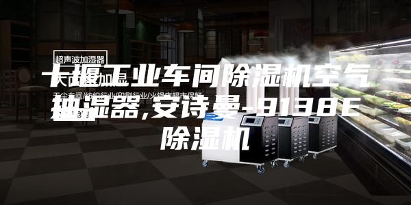 十堰工业车间除湿机空气抽湿器,安诗曼-9138E除湿机